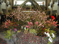 Highlight for Album: Philadelphia Flower Show 2004