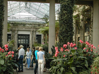 Highlight for Album: Longwood Gardens