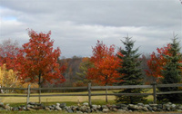 Highlight for Album: Litchfield County, Ct.