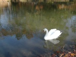 Fall 2005 035