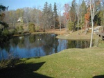 Fall 2005 038