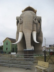 Lucy the Elephant - Margate, NJ - OCT  2008 006